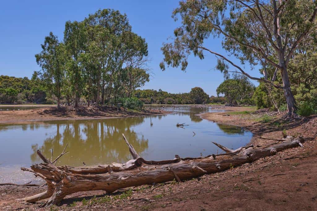things to do at serendip sanctuary
