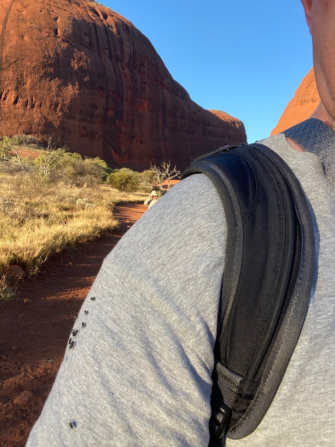 Flies at Uluru: When Are They Bad and Do I Need a Net?